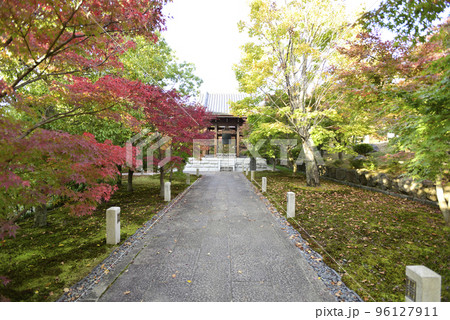 智積院 紅葉 智積院 紅葉 96127911