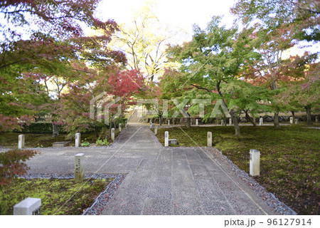 智積院　紅葉 96127914