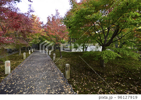 智積院　紅葉 96127919