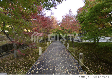 智積院　紅葉 96127921