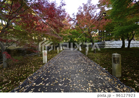 智積院　紅葉 96127923