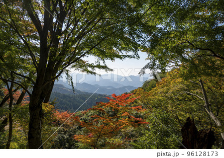 紅葉の山から遥かな山波を望む 96128173