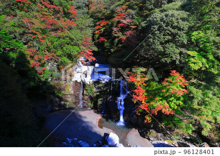 【徳島県】紅葉が最盛期の大轟の滝 【徳島県】紅葉が最盛期の大轟の滝 96128401