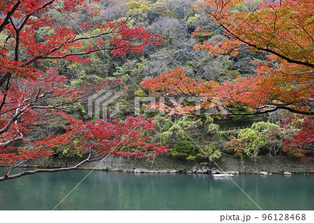 嵯峨野嵐山　桂川（大堰川）の紅葉 96128468