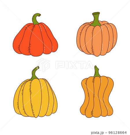 Set of pumpkin of various shapes and colors. Thanksgiving and halloween elements. Vector illustration in hand drawn style Set of pumpkin of various shapes and colors. Thanksgiving and halloween elements. Vector illustration in hand drawn style 96128664