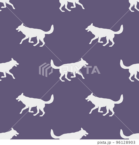 Running and jumping czechoslovak wolfdog puppy. Running and jumping czechoslovak wolfdog puppy. 96128903