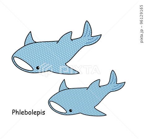 古代魚 フレボレピス Phlebolepis ジンベイザメに似た姿のアゴがない魚 イラスト 96129165