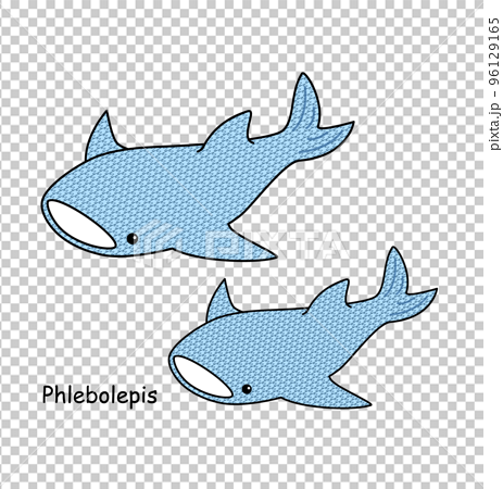 古代魚 フレボレピス Phlebolepis ジンベイザメに似た姿のアゴがない魚 イラスト 96129165