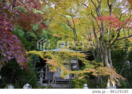 護法堂弁財天 紅葉 護法堂弁財天 紅葉 96129185