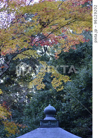 護法堂弁財天　紅葉 96129202