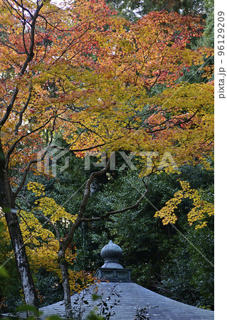 護法堂弁財天　紅葉 96129209