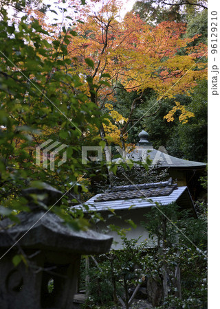 護法堂弁財天　紅葉 96129210