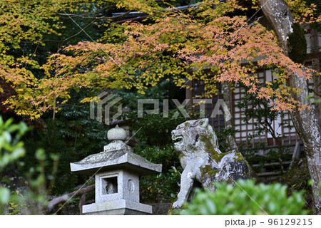 護法堂弁財天　紅葉 96129215