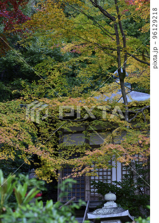 護法堂弁財天　紅葉 96129218