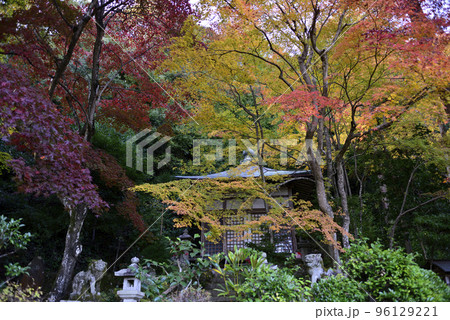 護法堂弁財天 紅葉 護法堂弁財天 紅葉 96129221