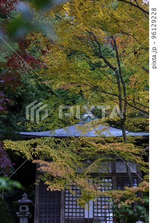 護法堂弁財天　紅葉 96129228