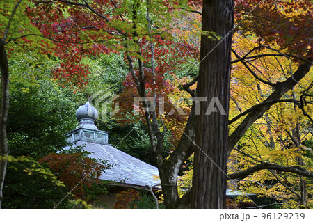護法堂弁財天　紅葉 96129239