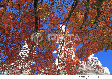 鳥居観音と紅葉 鳥居観音と紅葉 96129288
