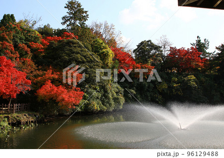富山県高岡古城公園紅葉風景 96129488