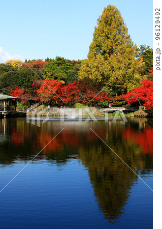 富山県高岡古城公園紅葉風景 96129492