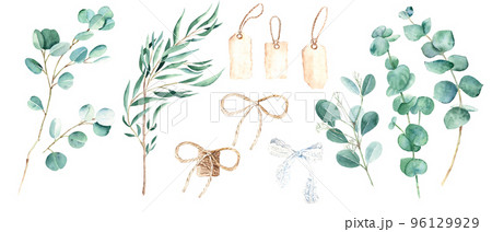 Eucalyptus branches, white lace and jute cord bow, vintage paper tags set. Willow, silver dollar, true blue, baby and seeded eucalyptus. Botanical illustration isolated on white background. Watercolor 96129929