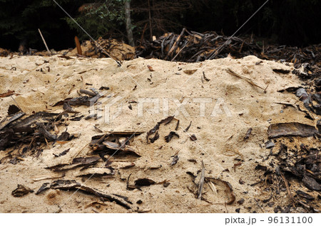 Sawdust 96131100