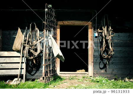 Horses harness hanging on a barn 96131933