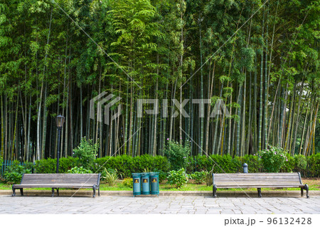 Park with benches, on a background the bamboo forest. Bamboo forest Park with benches, on a background the bamboo forest. Bamboo forest 96132428