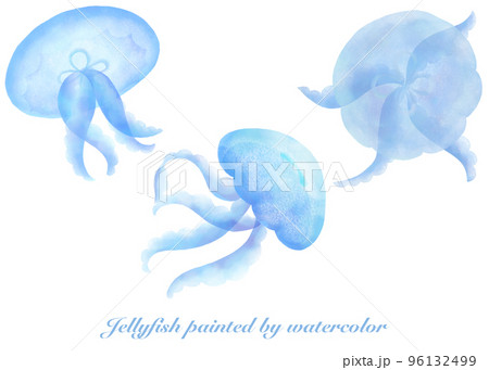 水彩で描いたクラゲのイラスト素材セット 96132499