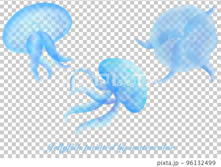 水彩で描いたクラゲのイラスト素材セット 96132499