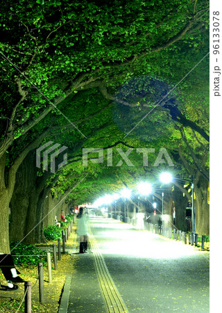 明治神宮外苑 銀杏並木紅葉の夜景 明治神宮外苑 銀杏並木紅葉の夜景 96133078