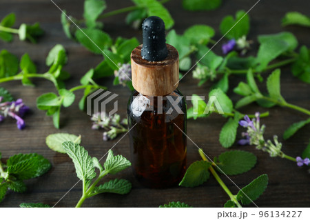 Concept of aromatherapy with mint, close up 96134227