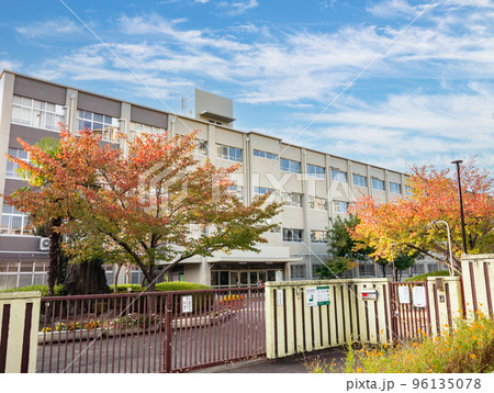 紅葉したサクラと小学校校舎 紅葉したサクラと小学校校舎 96135078