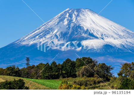 富士山が見える三島の景色（松雲寺） 96135194
