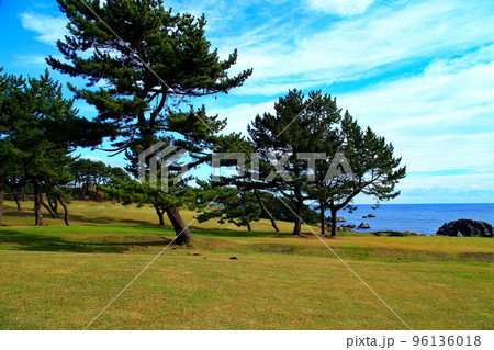 種差海岸 種差海岸 96136018