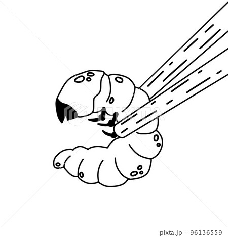 Edible larva. Eating caterpillar with chopsticks. Asian snack and street fast food. Source of insect protein. Edible larva. Eating caterpillar with chopsticks. Asian snack and street fast food. Source of insect protein. 96136559