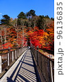 吊り橋から見た美しい紅葉 96136835