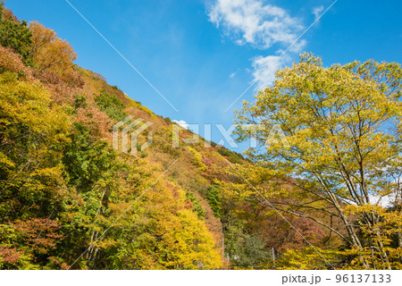 巴淵より山吹山を見上げる【秋】 巴淵より山吹山を見上げる【秋】 96137133