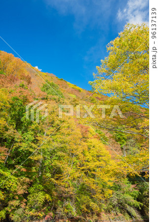 巴淵より山吹山を見上げる【秋】 96137139