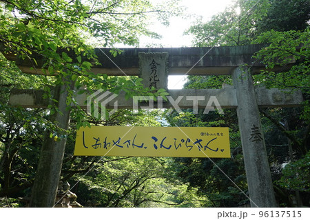 金比羅宮は香川県の像頭山に鎮座する神社です。 金比羅宮は香川県の像頭山に鎮座する神社です。 96137515