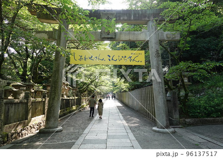 金比羅宮は香川県の像頭山に鎮座する神社です。 96137517