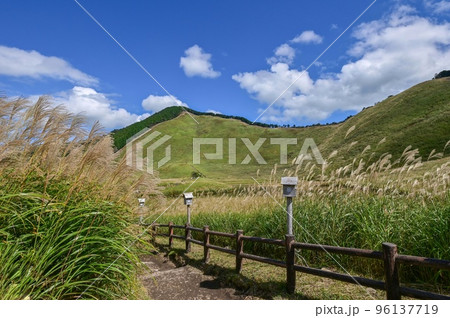【奈良・曽爾村】曽爾高原、ススキと青空 【奈良・曽爾村】曽爾高原、ススキと青空 96137719