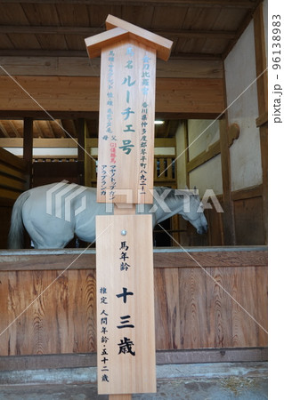 金比羅宮は香川県の像頭山に鎮座する神社です。 金比羅宮は香川県の像頭山に鎮座する神社です。 96138983