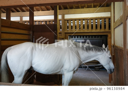 金比羅宮は香川県の像頭山に鎮座する神社です。 金比羅宮は香川県の像頭山に鎮座する神社です。 96138984