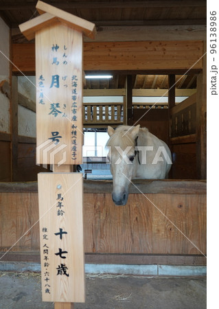金比羅宮は香川県の像頭山に鎮座する神社です。 金比羅宮は香川県の像頭山に鎮座する神社です。 96138986