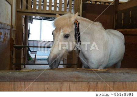 金比羅宮は香川県の像頭山に鎮座する神社です。 金比羅宮は香川県の像頭山に鎮座する神社です。 96138991