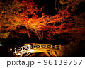 紅葉　もみじ　夜の香雪園　ライトアップ 96139757