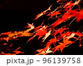 紅葉　もみじ　夜の香雪園　ライトアップ 96139758