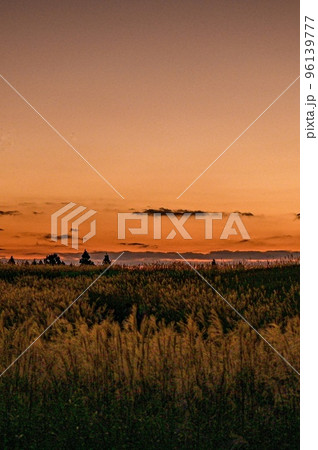 【奈良・曽爾村】夕暮れのススキと曽爾高原が美しい 【奈良・曽爾村】夕暮れのススキと曽爾高原が美しい 96139777