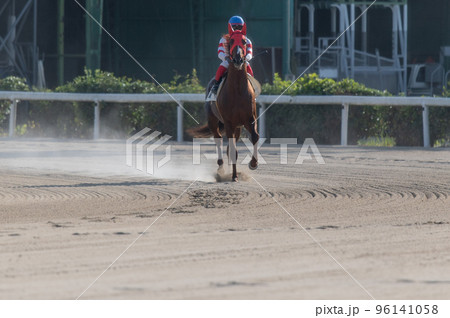 競馬の風景 96141058